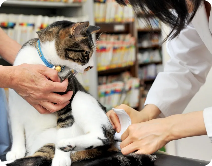 平日は20:30まで土曜も17:00まで診療