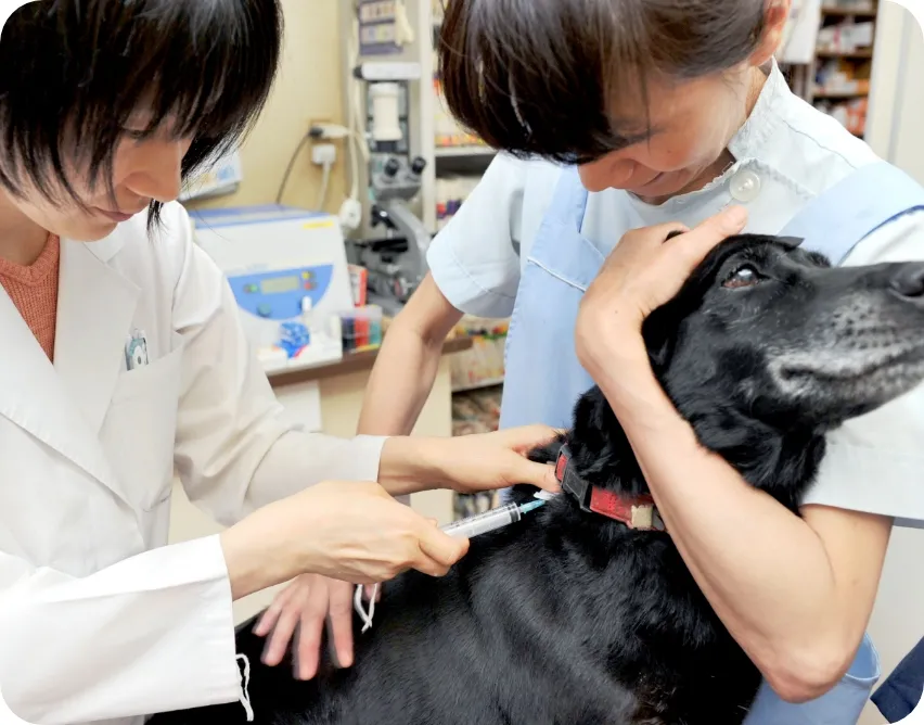 予防を大切にする動物病院