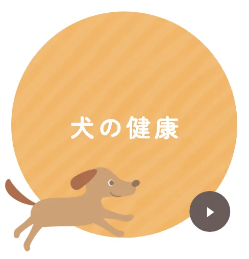 犬の健康