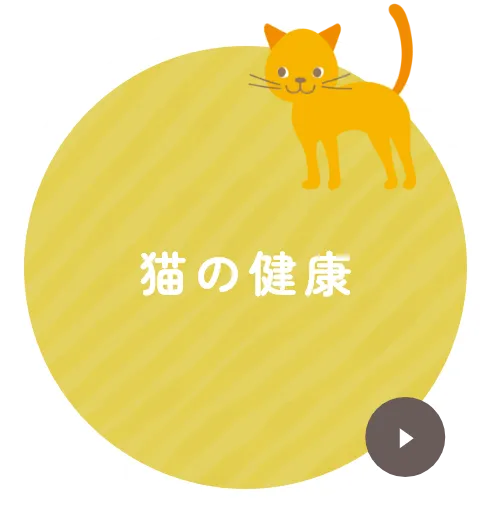 猫の健康