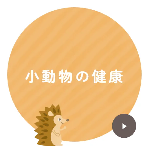 小動物の健康
