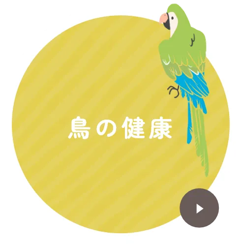 鳥の健康